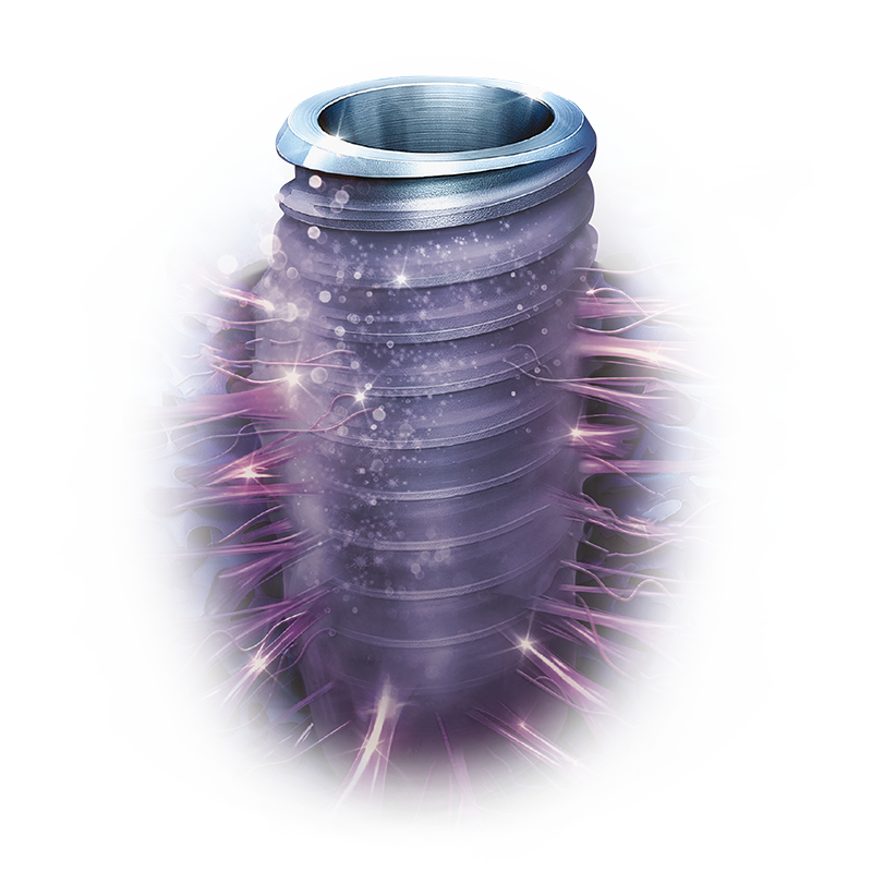 Osstem TS III SOI implant