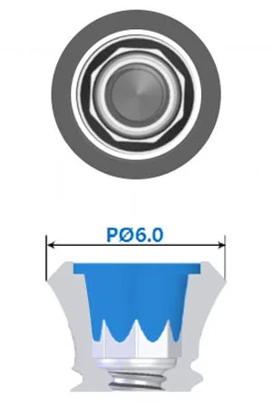 SS implant with Wide platform