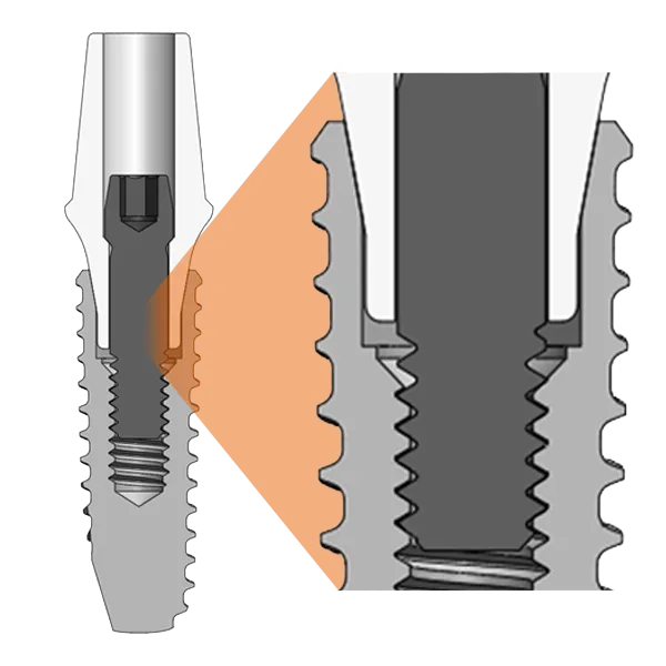 Cross-section of the TS Morse taper connection